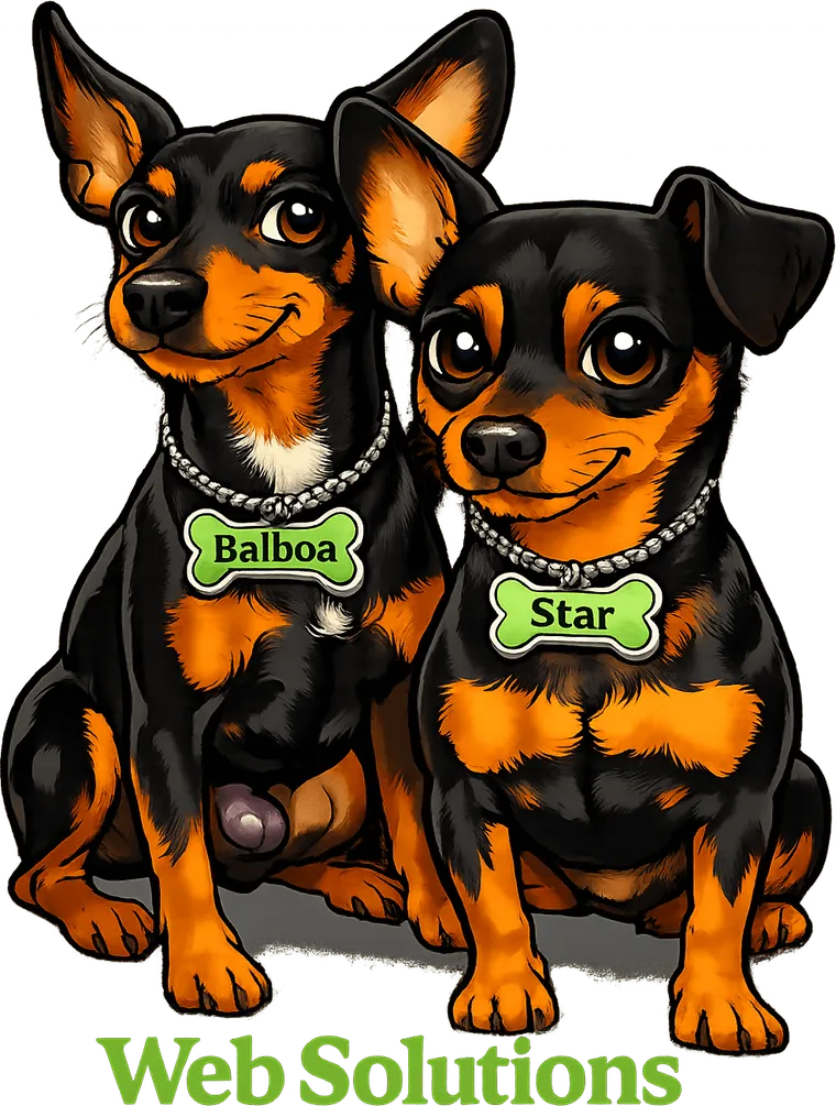 Balboastar Web Solutions